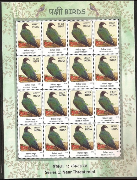 Nicobar Pigeon