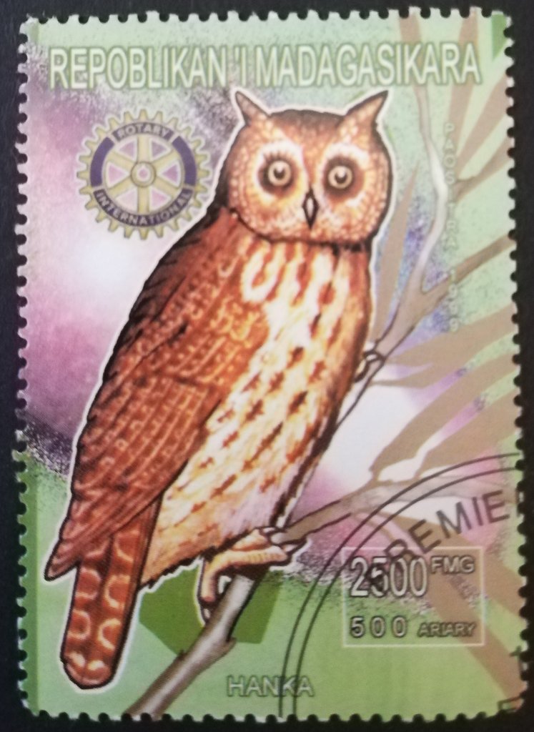 Animaux du monde