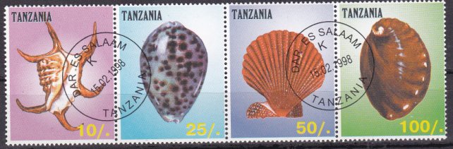 Sea Shells