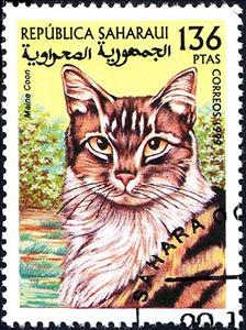 Stamp, Cats, Cinderellas,  , Animals (Fauna), Cats, Mammals