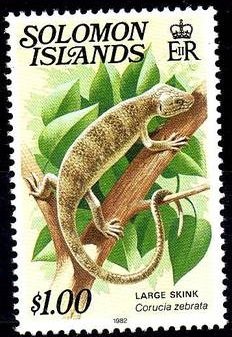 Solomon Islands Skink (Corucia zebrata)