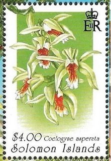 Stamp, Coelogyne asperata, Solomon Islands,  , Flowers, Orchids, Plants (Flora)