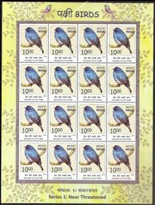 Souvenir Sheet, Nilgiri Flycatcher, India,  , Animals (Fauna), Birds, Pigeons
