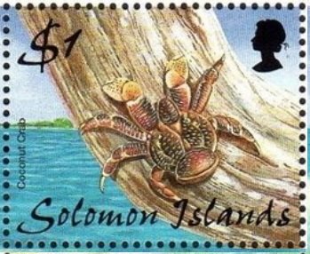 Coconur Crab (Birgus latro)