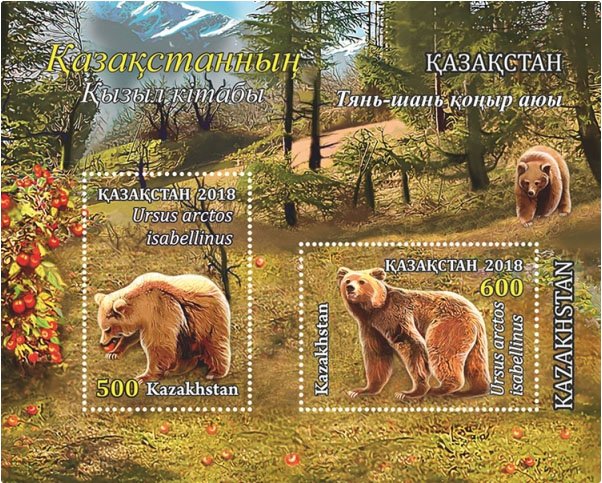 Himalayan Brown Bear