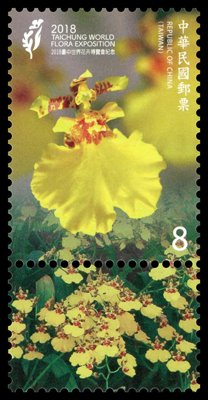 Oncidium Orchid
