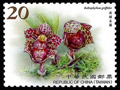 Wild Orchids Definitives (Series IV)