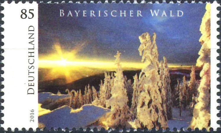Bayrischer Wald