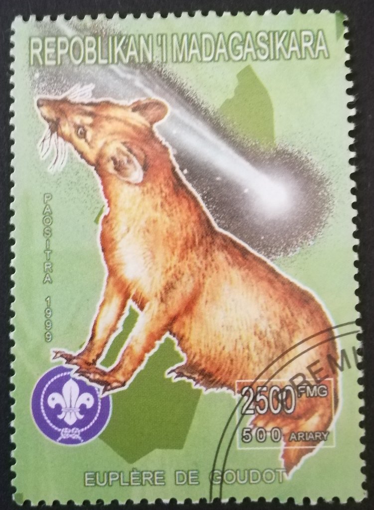 Animaux du monde
