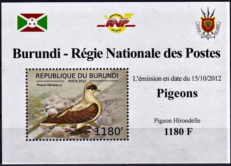 Pigeon Hirondelle