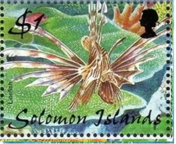 Lionfish (Pterois)