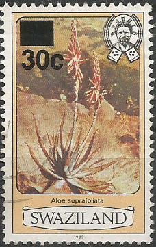 Aloe suprafoliata