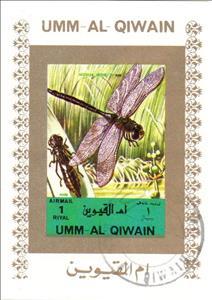 Souvenir Sheet, Dragonfly, Umm al-Qiwain,  , Animals (Fauna), Dragonflies, Insects