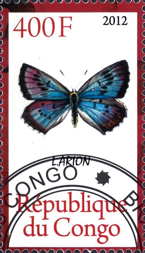 Larion