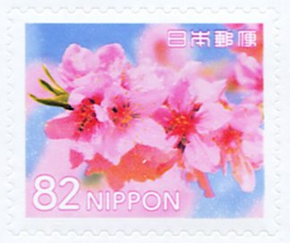 Peach Blossoms