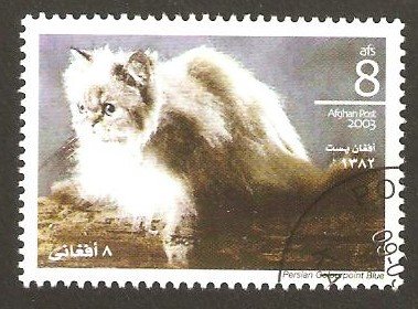 Stamp, Persian coulourpoint blue, Afghanistan,  , Animals (Fauna), Cats, Mammals