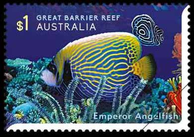 Emperor Angelfish