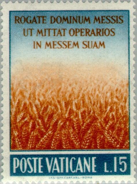 Wheatfield