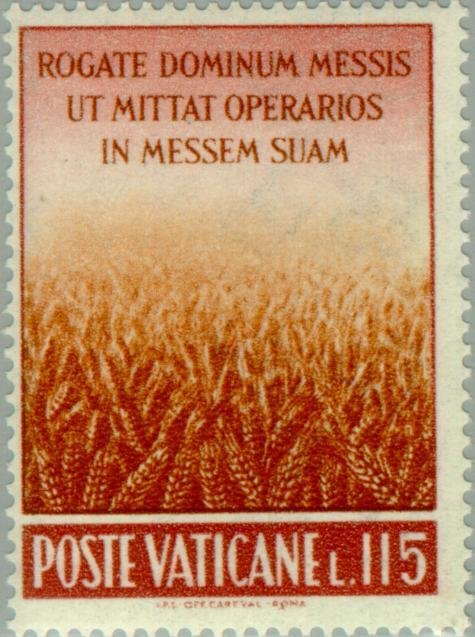 Wheatfield