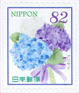 Hydrangea