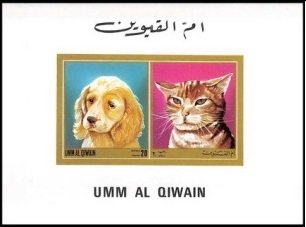 Dog and Cat
