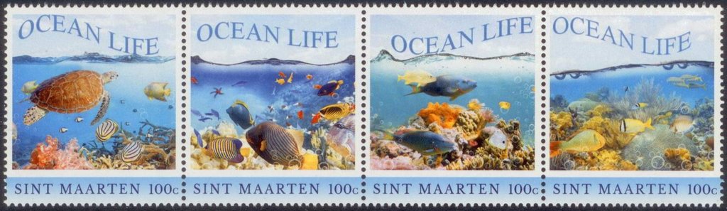 Ocean Life