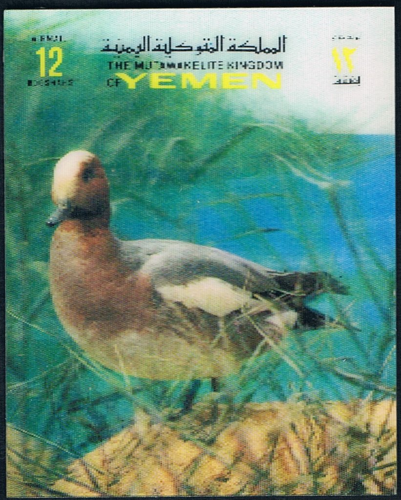 Birds 3-D