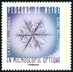 Snowflakes