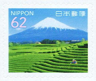 Tea Fields, Mt Fuji