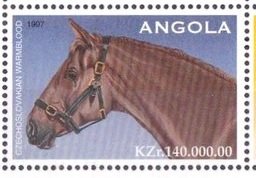 Czechoslovakian Warmblood