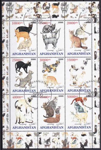 Cats & Dogs