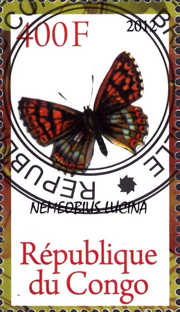 Nemeobius lucina