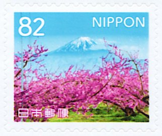 Cherry Trees and Mt Fuji