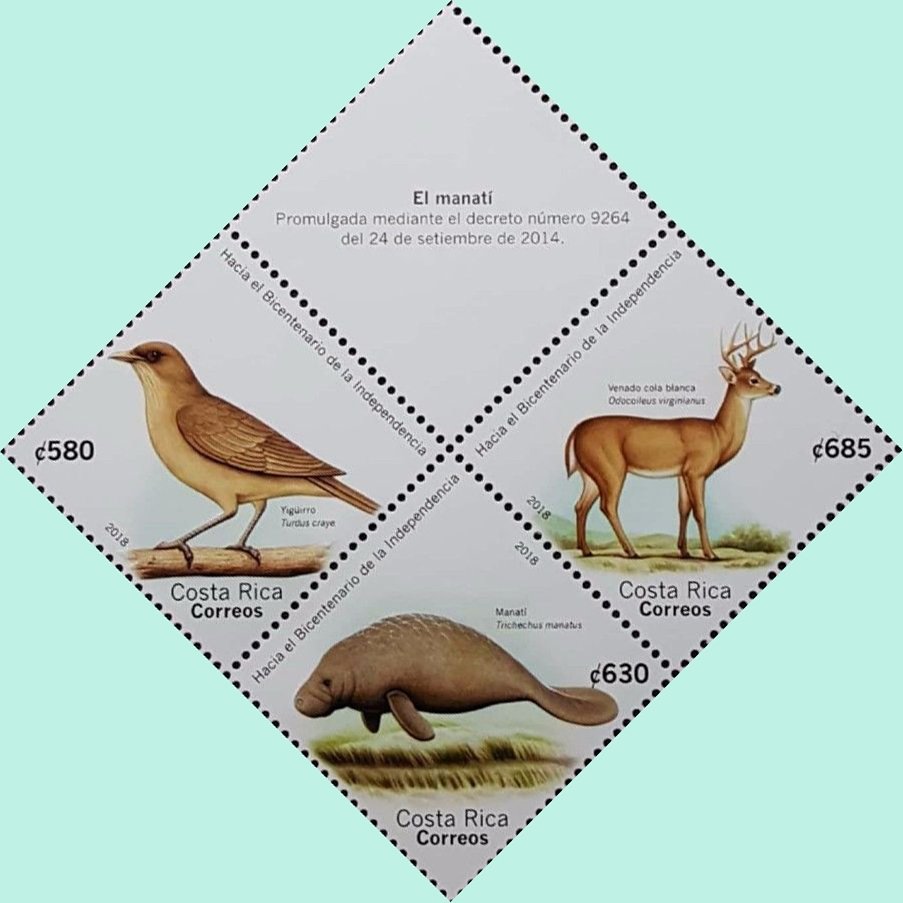 National Wildlife