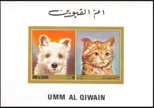 Terrier and Domestic Cat