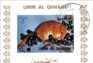 Souvenir Sheet, Common Dormouse (Muscardinus avellanarius), Umm al-Qiwain,  , Animals (Fauna), Mammals, Mice, Rodents