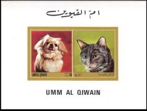 Dog and Cat