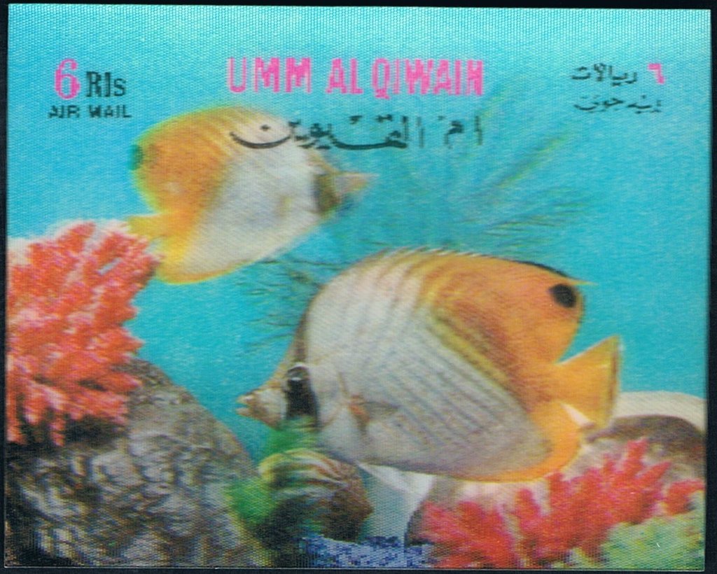 Butterfly fish