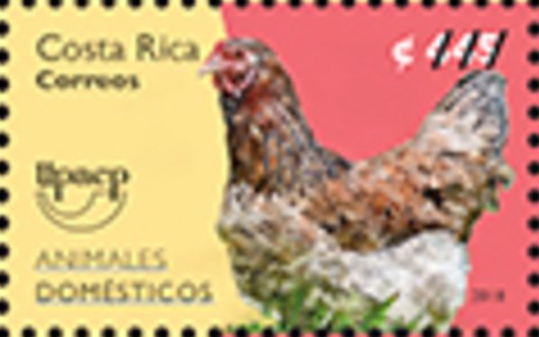 UPAEP - Rooster