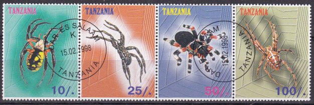 Spiders