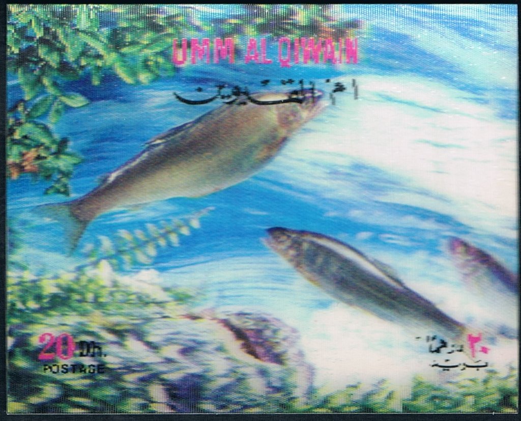 Salmon