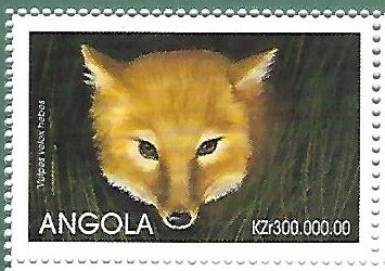 Vulpes velox hebes