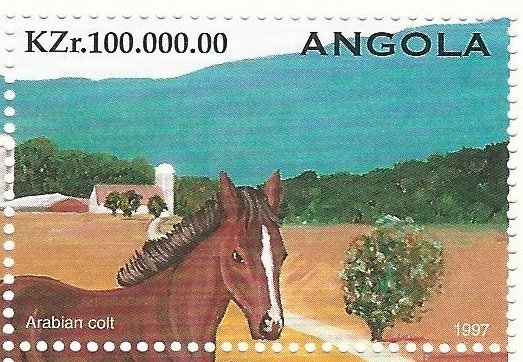 Arabian Colt
