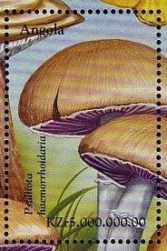 Psalliota haemorrhoidarius