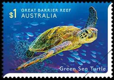 Green Sea Turtle
