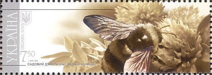 Garden bumblebee (Bombus hortorum)