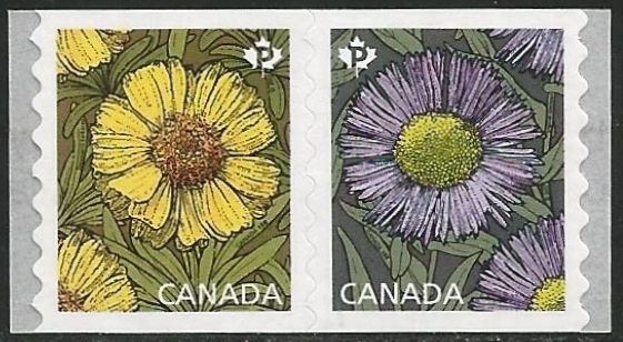 Daisies