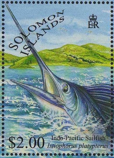 Indo-Pacific sailfish