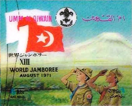 Scouts saluting flags