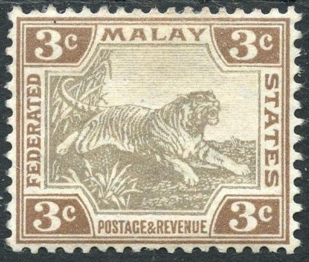 Tiger (Panthera tigris)